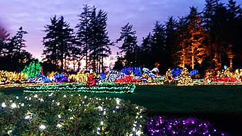 Shore Acres Holiday Lights with Rogue Global Travel